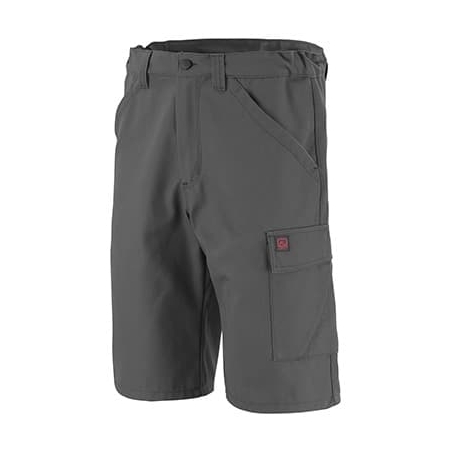 Short de Travail Homme Iolite Lafont