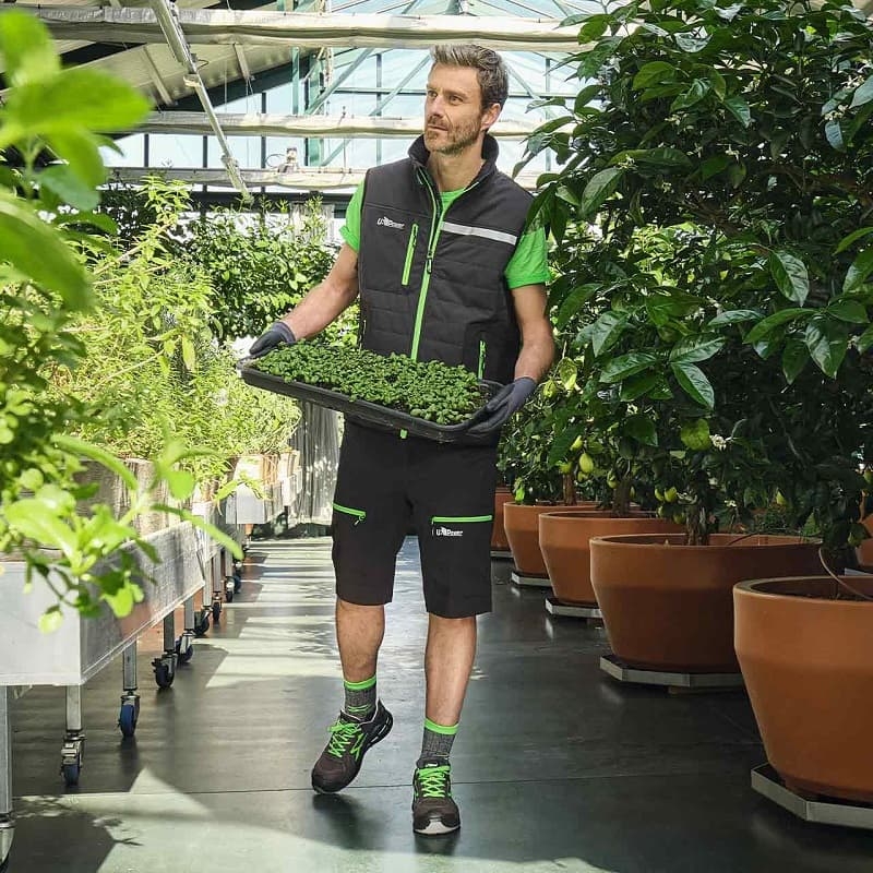 Chaussure de Sécurité Basse Point S1P U-POWER