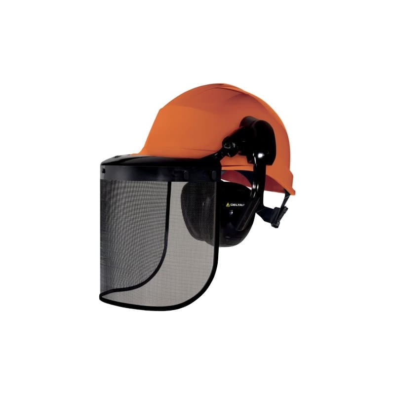 Casque forestier avec visière et antibruit Forestier 3 Delta Plus