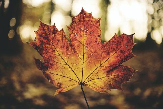 Quelle tenue choisir pour faire face à l’automne sur les chantiers ?